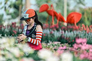 BIB: 
                            <button type="button" onclick="openModal(25934995)" class="btn btn-primary btn-sm float-right btn-popup" data-toggle="modal" data-target=".modal-high-quality">
                        <i class="fas fa-shopping-cart"></i> Add to Cart
                    </button>
                                            <button type="button" onclick="isThisMe(25934995, true)" class="btn btn-success btn-sm float-right btn-popup btn-isme hidden" data-toggle="tooltip" data-placement="bottom" title="นี่คือรูปของคุณใช่ไหม คลิกที่นี่เพื่อเอาเข้าอัลบั้ม">
                        <i class="fas fa-plus"></i> Add to album
                    </button>
                    <button type="button" onclick="isThisMe(25934995, false)" class="btn btn-warning btn-sm float-right btn-popup btn-isnotme hidden">
                        <i class="fas fa-ban"></i> Remove from album
                    </button>